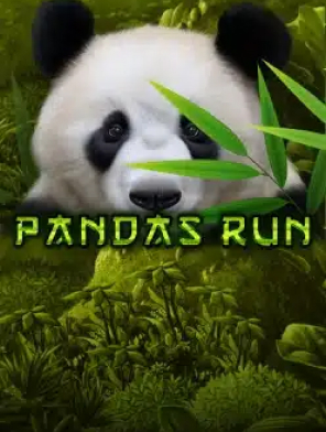 Panda`s Run