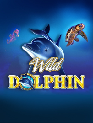 Wild Dolphin